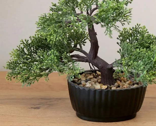 Kenova Apartamento *